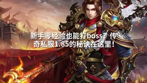 新手零经验也能打boss?传奇私服1.85的秘诀在这里!
