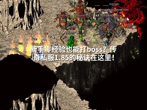 新手零经验也能打boss?传奇私服1.85的秘诀在这里!