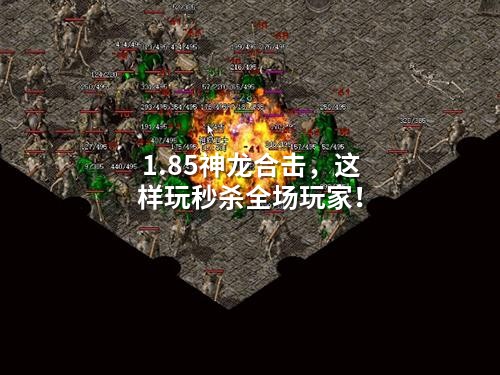 1.85神龙合击，这样玩秒杀全场玩家！
