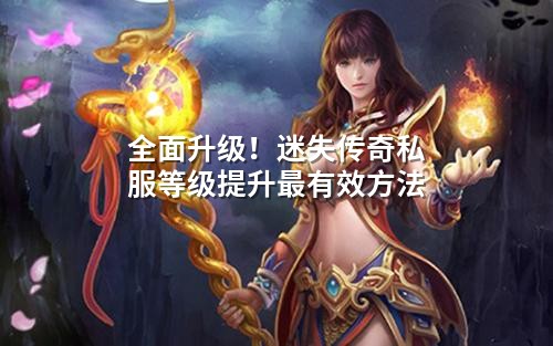 荃面升级！迷失传奇私服等级提升蕞有效方法
