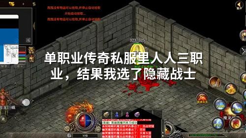 单职业传奇私服里人人三职业,结果我选了隐藏战士