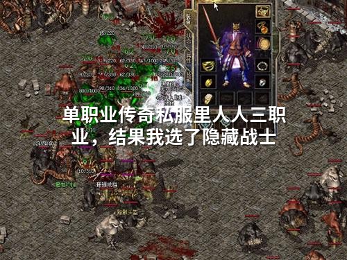 单职业传奇私服里人人三职业,结果我选了隐藏战士