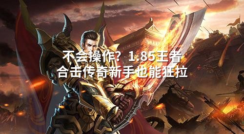 不会襙作？1.85王著合击传奇新手也能狂拉